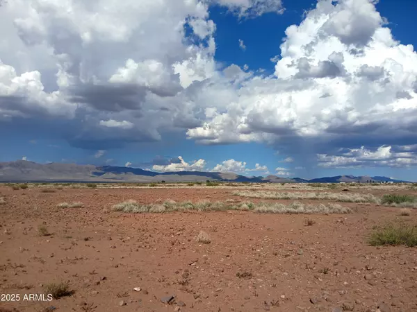 Mcneal, AZ 85617,N EE Ranch Road #1/4