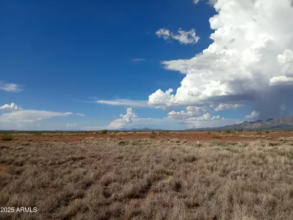 Mcneal, AZ 85617,N EE Ranch Road #1/4