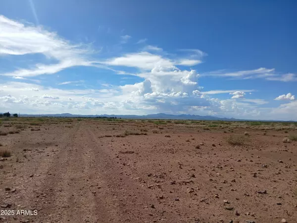 Mcneal, AZ 85617,N EE Ranch Road #1/4