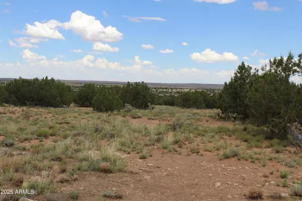 Heber, AZ 85928,5143 Rockwell Road #019