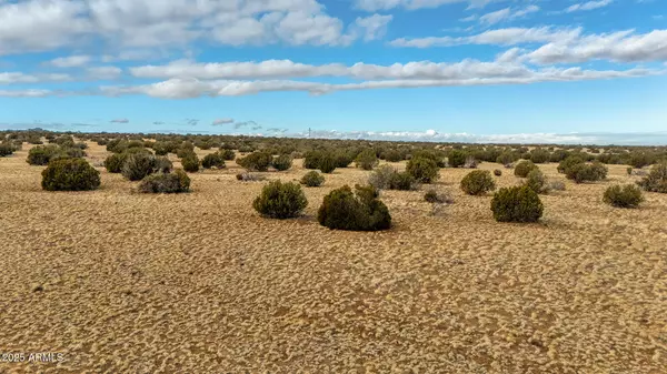 Shumway, AZ 85901,Shumway Rd - Lot 1 -- #-