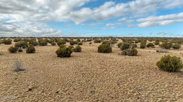 Shumway, AZ 85901,Shumway Rd - Lot 1 -- #-
