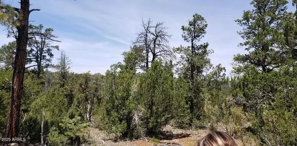 Happy Jack, AZ 86024,5113 SUNSET RIDGE Loop #187