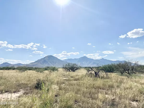 Hereford, AZ 85615,S Painted Ranch Road #-