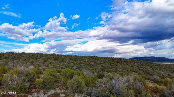 Ash Fork, AZ 86320,0 W BIG MOON LN. -- #14