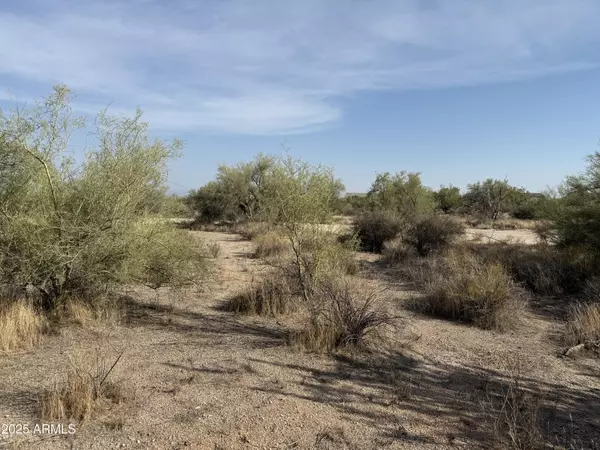 Scottsdale, AZ 85262,161 E Dixileta Drive #-‘