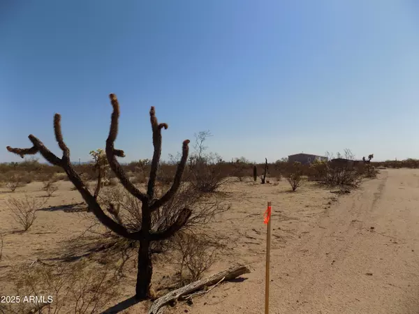 Florence, AZ 85132,125 E TBD-Cactus Forest /N Reed Lot2 Road #2