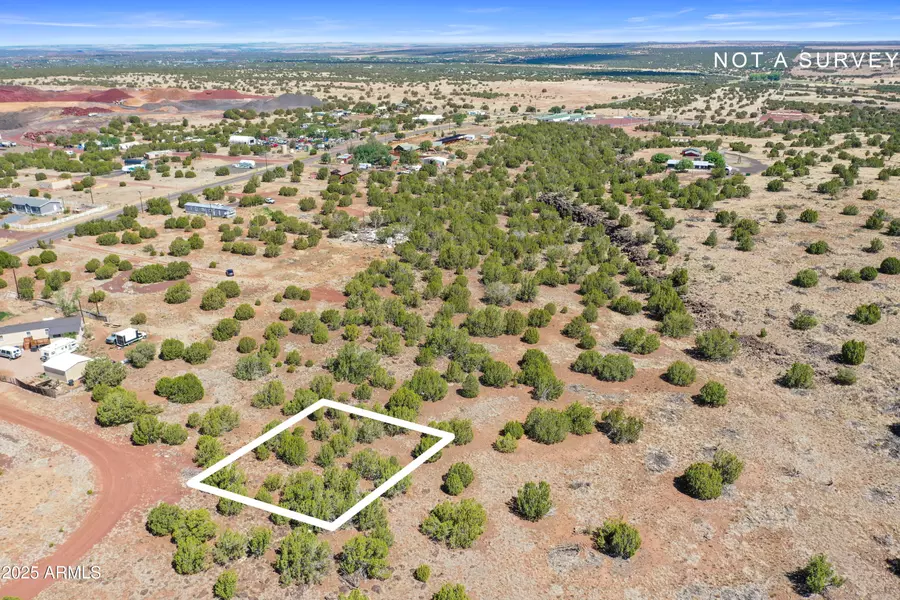 8798 ROBBINS Place #135, Show Low, AZ 85901