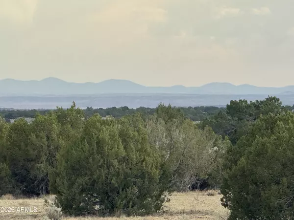 St Johns, AZ 85936,16 APN 205-33-016 -- #016