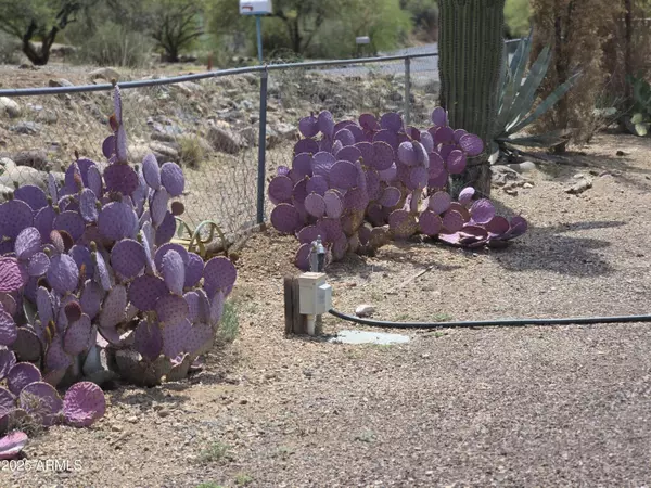 Black Canyon City, AZ 85324,18820 E KINGS Way