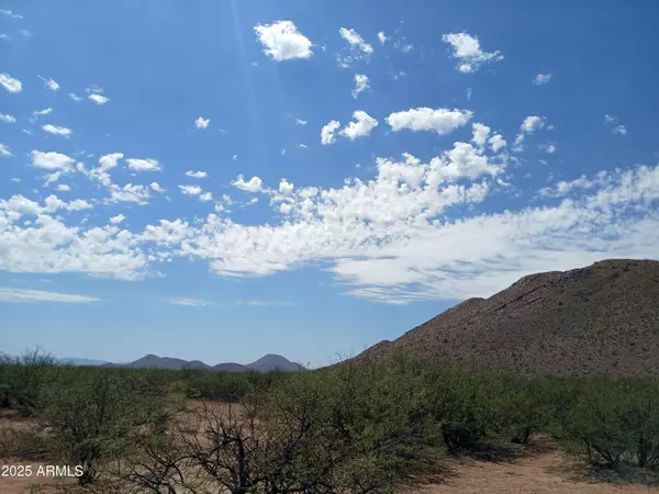 Pearce, AZ 85625,S Red Sky Road #-