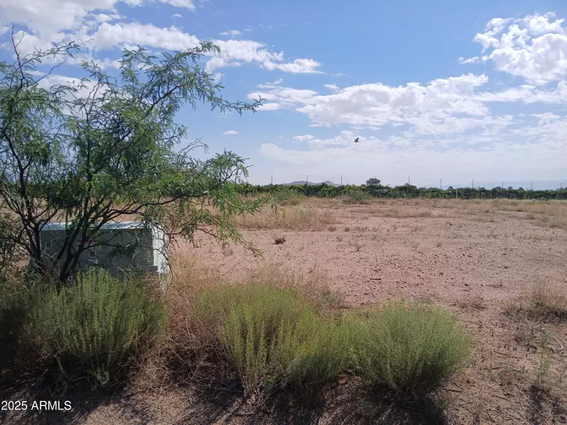 N Cholla Drive #93, Pearce, AZ 85625