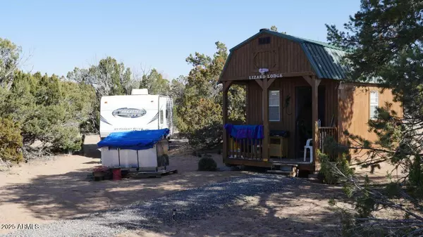 St Johns, AZ 85936,64 N7313 Sierra Mountain Ranch -- #64