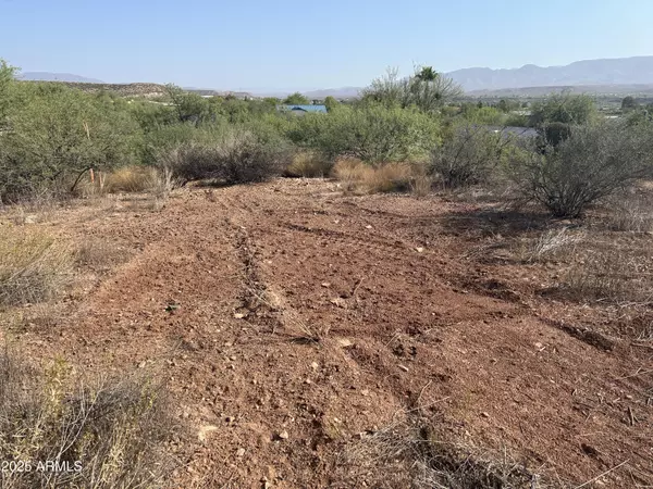 Tonto Basin, AZ 85553,1 W Lincoln Drive #-