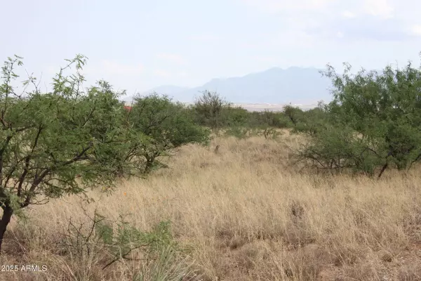 Huachuca City, AZ 85616,19 Copper Sky Road #6