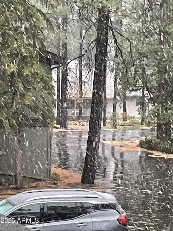 Pinetop, AZ 85935,4479 RESORT Loop #A21