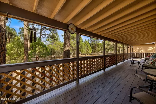 Overgaard, AZ 85933,2710 HOOKS Way