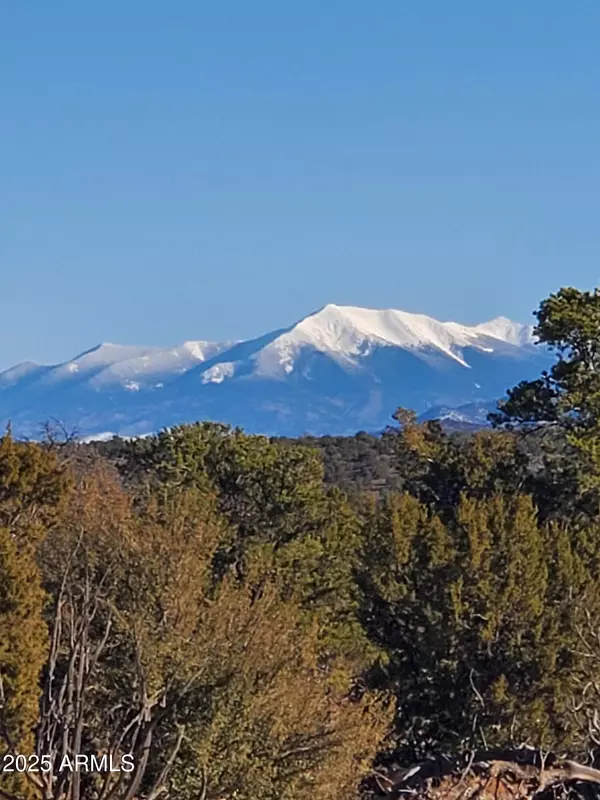 Williams, AZ 86046,2589 N LIPAN Road #203