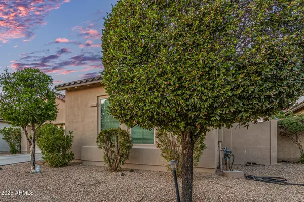 Goodyear, AZ 85338,13673 S 176TH Drive