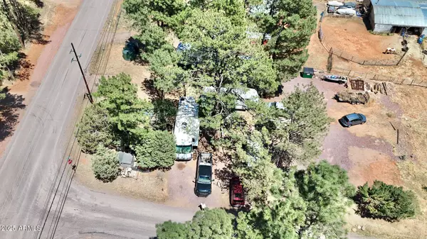 Pine, AZ 85544,4991 N OLD SPRUCE Drive