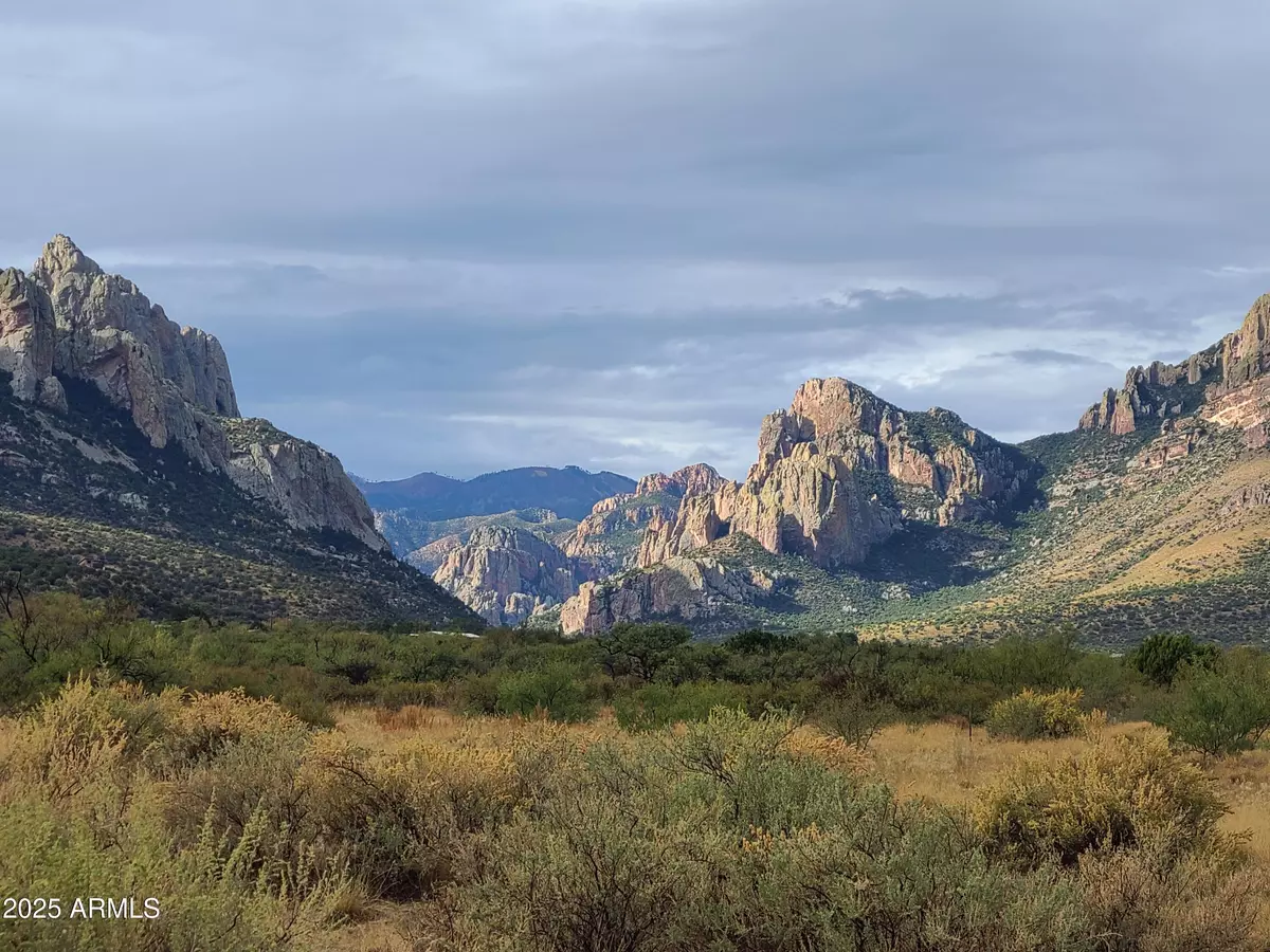 Portal, AZ 85632,S Foothills Road #-