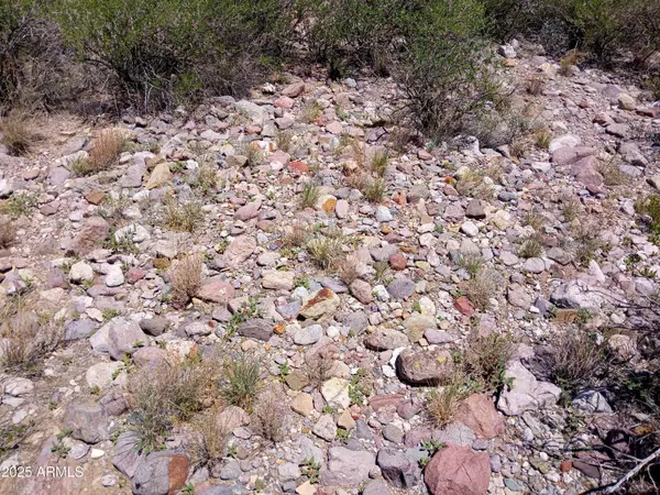 Portal, AZ 85632,S Foothills Road #-