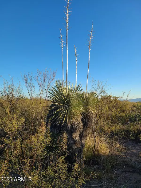 Portal, AZ 85632,S Foothills Road #-