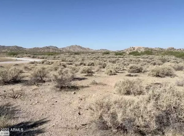 Buckeye, AZ 85326,224 W EAGLE MOUNTAIN Road #-