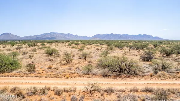 0 E COUGAR Trail #98, Saint David, AZ 85630