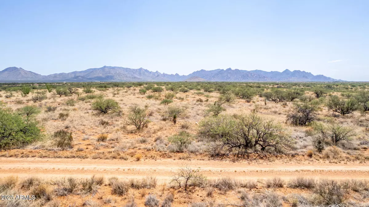 Saint David, AZ 85630,0 E COUGAR Trail #98