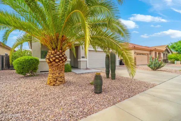 Phoenix, AZ 85032,3019 E KINGS Avenue