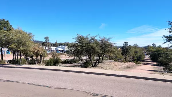 Payson, AZ 85541,201 W LONGHORN Road #-