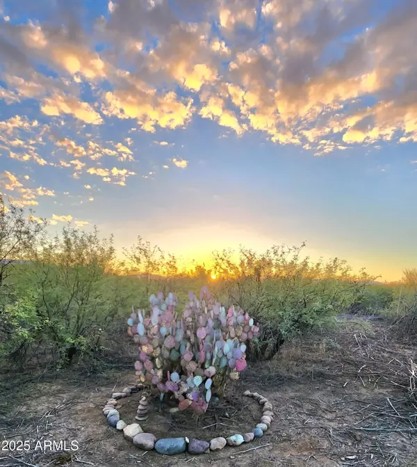 13122 W DUSTY FLAT Place #-, Tucson, AZ 85735