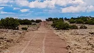 Sanders, AZ 86512,Sanders 255 Acres -- #-