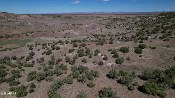 Concho, AZ 85924,Co Rd 5062 2.39 Acres -- #-