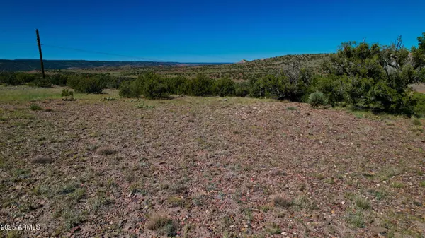 Concho, AZ 85924,Co Rd 5062 2.39 Acres -- #-
