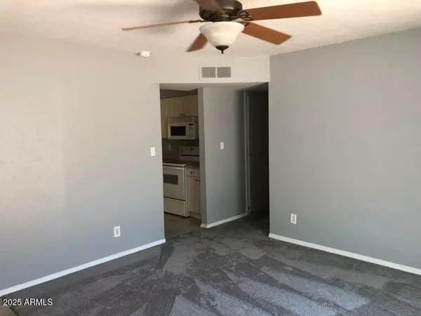 Apache Junction, AZ 85120,1862 S BUENA VISTA Drive