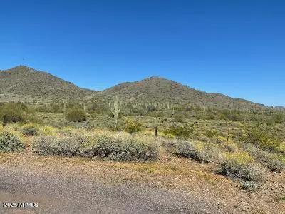 New River, AZ 85087,40024 N 12TH Street #-
