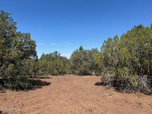 Vernon, AZ 85940,2 Stanford Drive #2