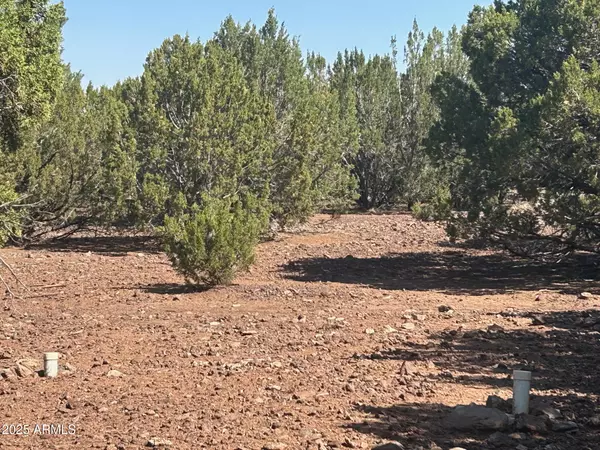 Vernon, AZ 85940,2 Stanford Drive #2