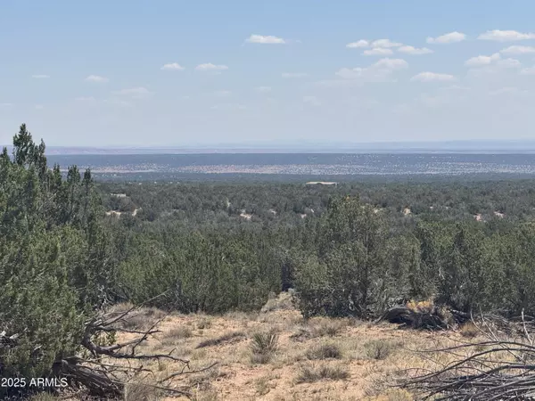St Johns, AZ 85936,120 Red Sky Ranch -- #120B