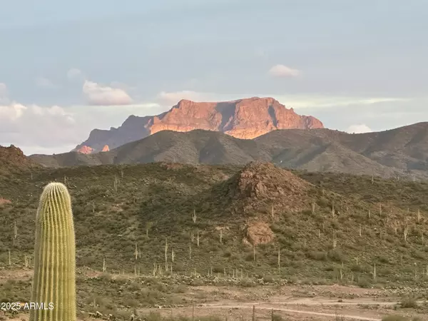 Queen Valley, AZ 85118,0 N ANGEL BASIN Road #4