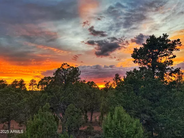 Show Low, AZ 85901,2070 N BISON PASS Court