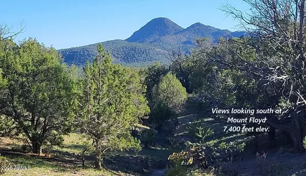 Williams, AZ 86046,49 W Marvel Way #49