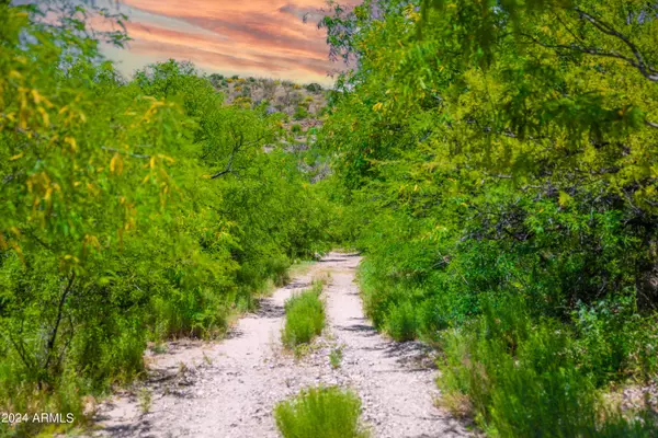 Oracle, AZ 85623,0 N Charleau Gap Road #-