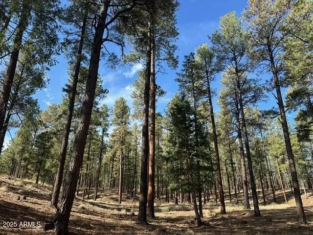 2184 N US-180 -- #101-46-020V, Alpine, AZ 85920