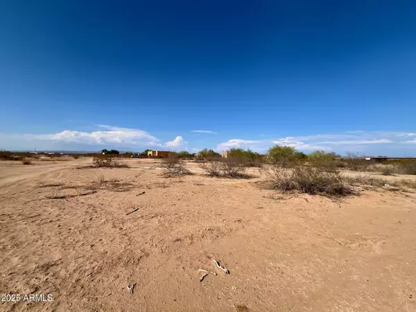 Wittmann, AZ 85361,208 W Desert Mirage (503-48-063-P) Drive #n/a