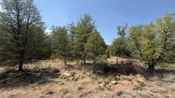 Young, AZ 85554,281 E Cline Crossing #C1-A