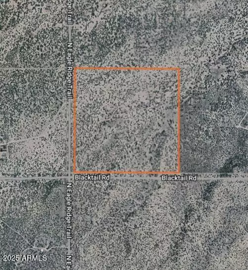 37 Acres Blacktail Road #-, San Simon, AZ 85632