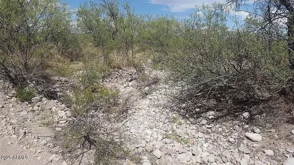 San Simon, AZ 85632,37 Acres Blacktail Road #-